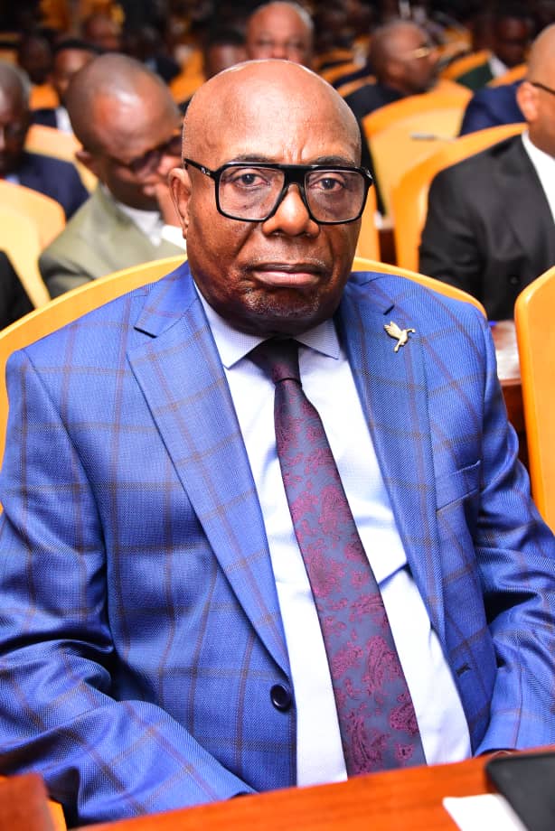 ANTOINE-CAMILE BOYAU NSALA : IG PJP